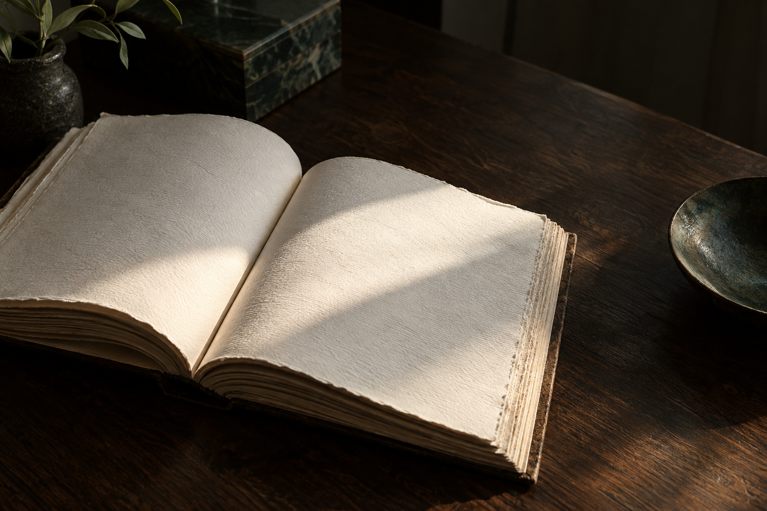 Open textured book in a beam of light